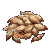 Rose Seed