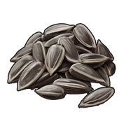 Sunflower Seed